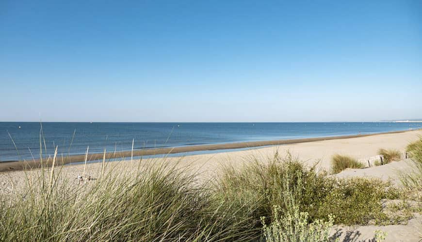 Beach with fine sand, bordered by dunes and vegetation, calm sea under clear sky