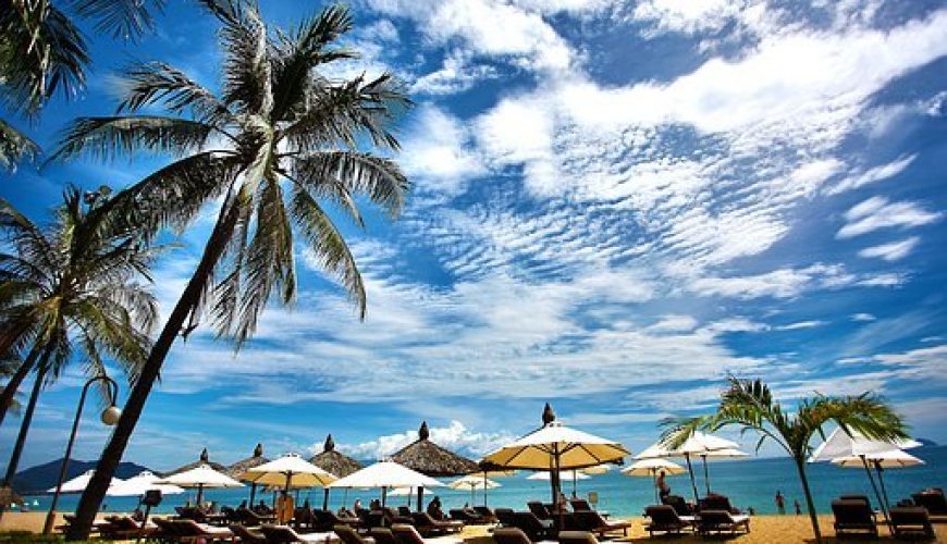 Plage de sable avec chaises longues, parasols, palmiers et océan turquoise sous ciel nuageux.